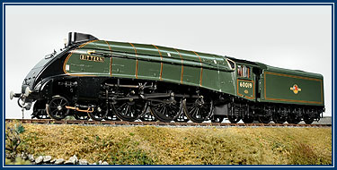 Bittern BR Green