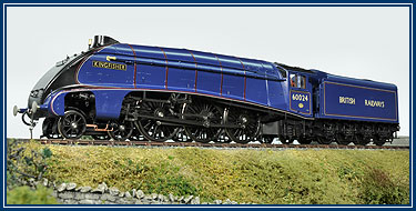Kingfisher BR Ultramarine Blue, also Merlin