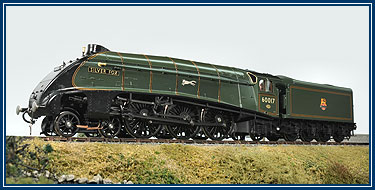 Silver Fox BR Green Early Crest