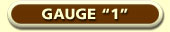 Gauge 1